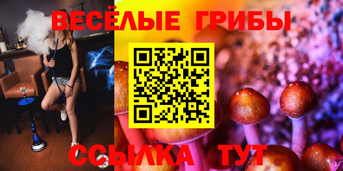 Галлюциногенные грибы MAGIC MUSHROOMS Сарапул